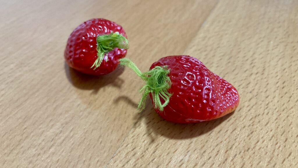 ままごとケーキ - イミテーションの苺